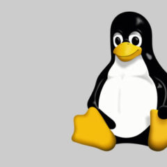 FreakOut Malware Campaign Targets Linux Devices