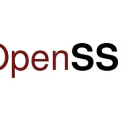 OpenSSL Vulnerability Downgraded from Critical to High Severity